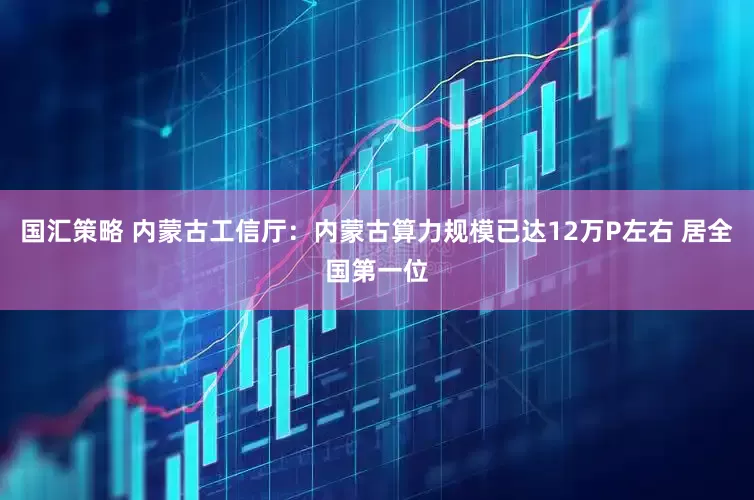 国汇策略 内蒙古工信厅：内蒙古算力规模已达12万P左右 居全国第一位