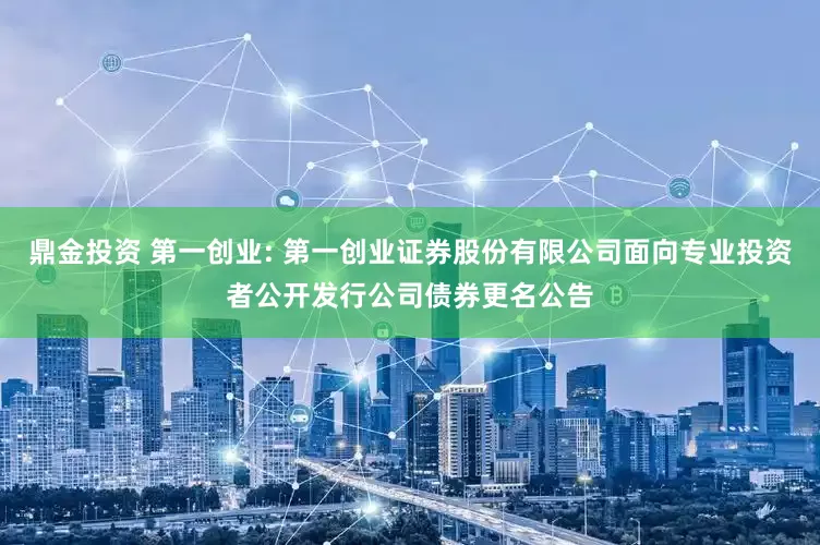 鼎金投资 第一创业: 第一创业证券股份有限公司面向专业投资者公开发行公司债券更名公告